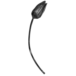bonmario270034