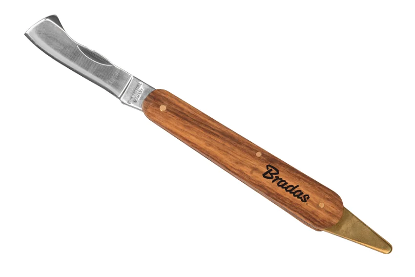 najder814600